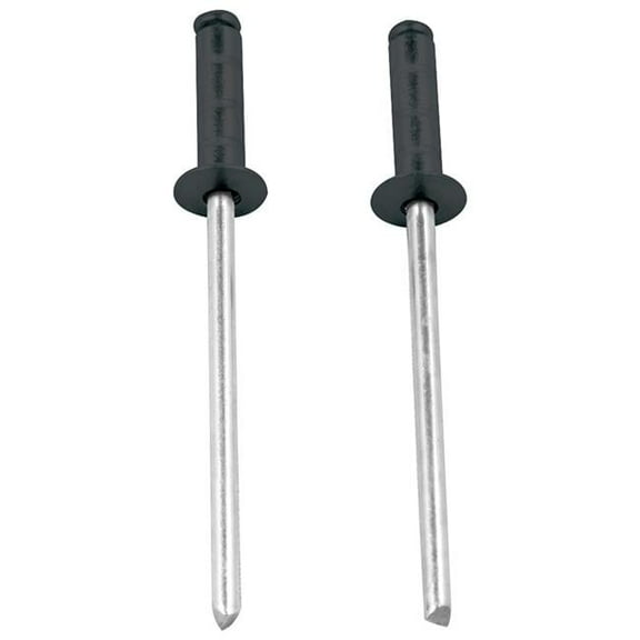 Allstar Performance 0.375 in. Head Multi-Grip Rivet with 0.125-0.375 in. Grip Range Black - Set of 250
