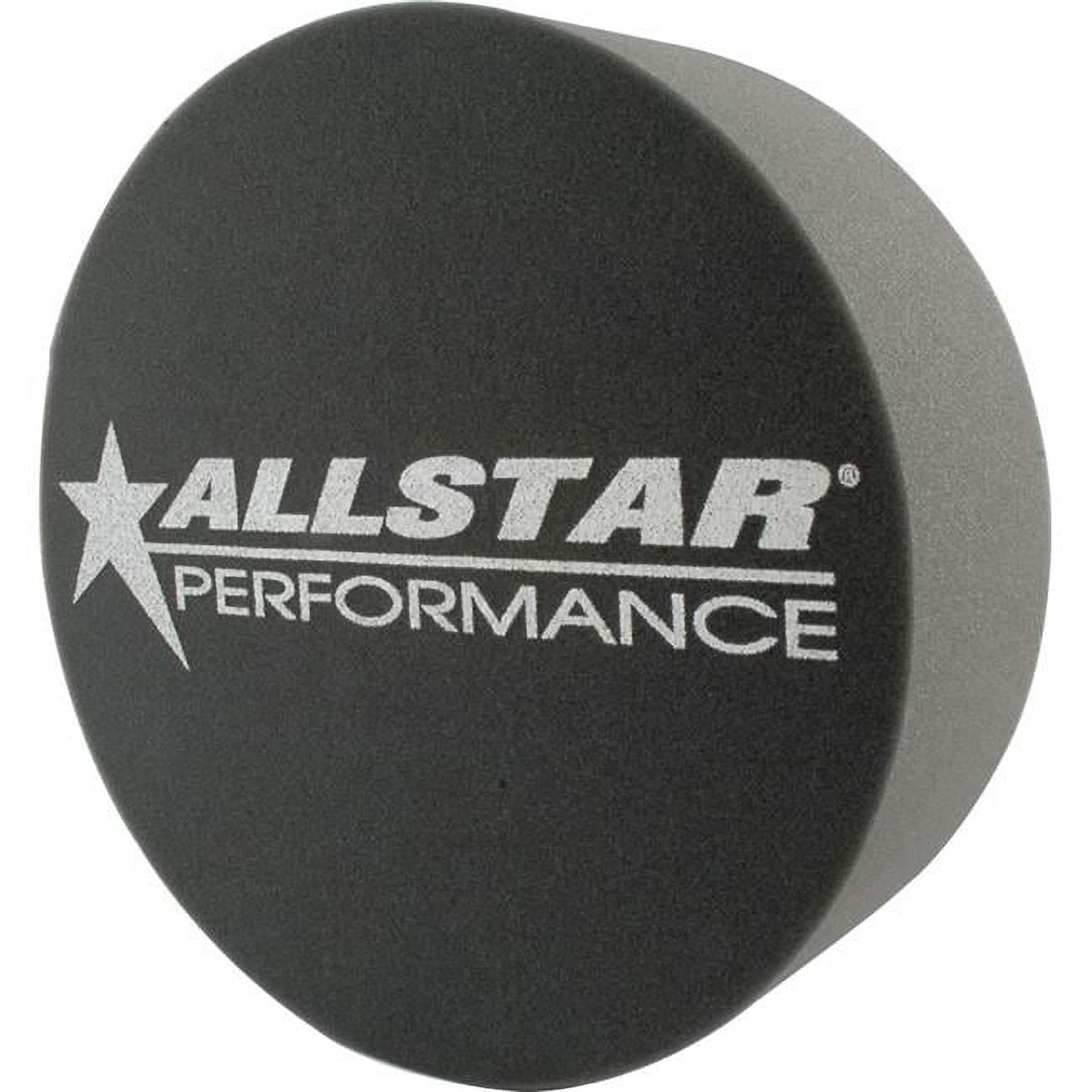 Allstar Foam Mud Plug Blue 5in Allstar Foam Mud Plug Blue 5in