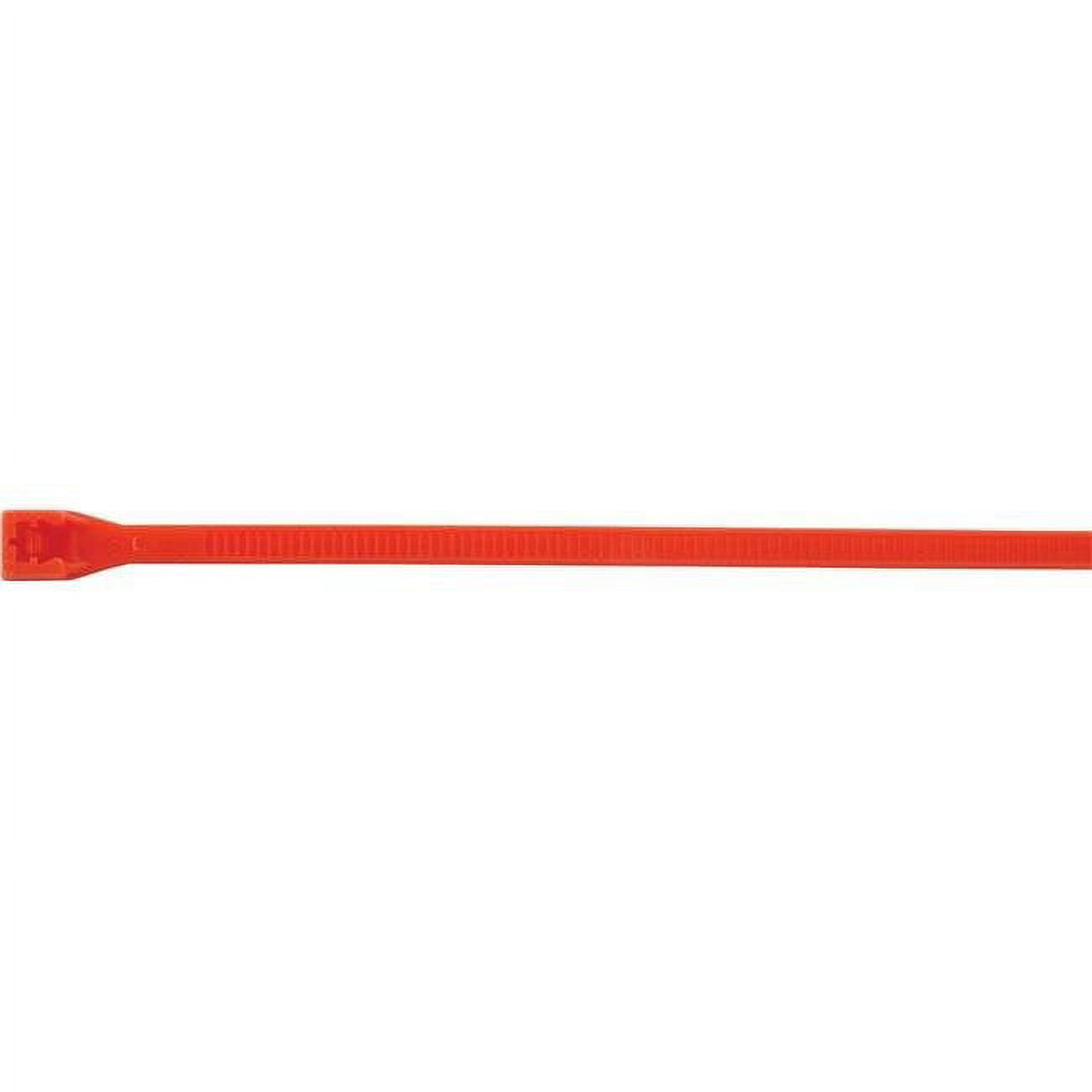 Allstar Nylon Tie Wraps
