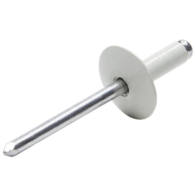 Allstar Performance ALL18051 Aluminium Large Head Rivet, White - Pack of 250