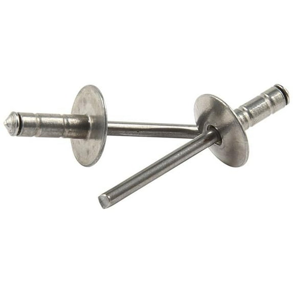 Allstar Performance ALL18093 Large Head Rivet Silver 250pk Multi Grip