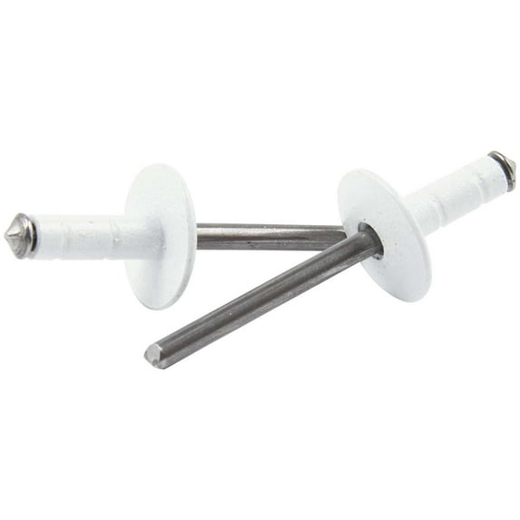 Allstar Performance Lg Hd Rivet White 250pk Multi Grip ALL18096