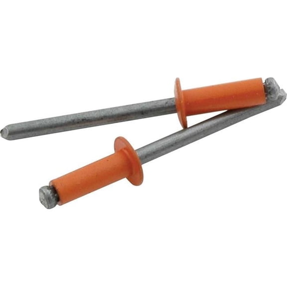 Allstar Performance ALL18136 Small Head Rivet, Orange - Pack of 250