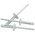 thumbnail image 1 of Allstar Performance ALL18188 Rivet - Tri-Fold - 1/2 in Head - 3/16 in Mandrel - 1/16-3/8 in Grip Range - Aluminum - White Paint - Set of 250, 1 of 8