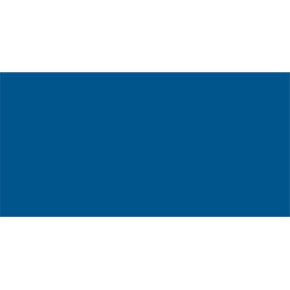 Allstar Performance 4x8 Plastic Chevron Blue .100in ALL22464