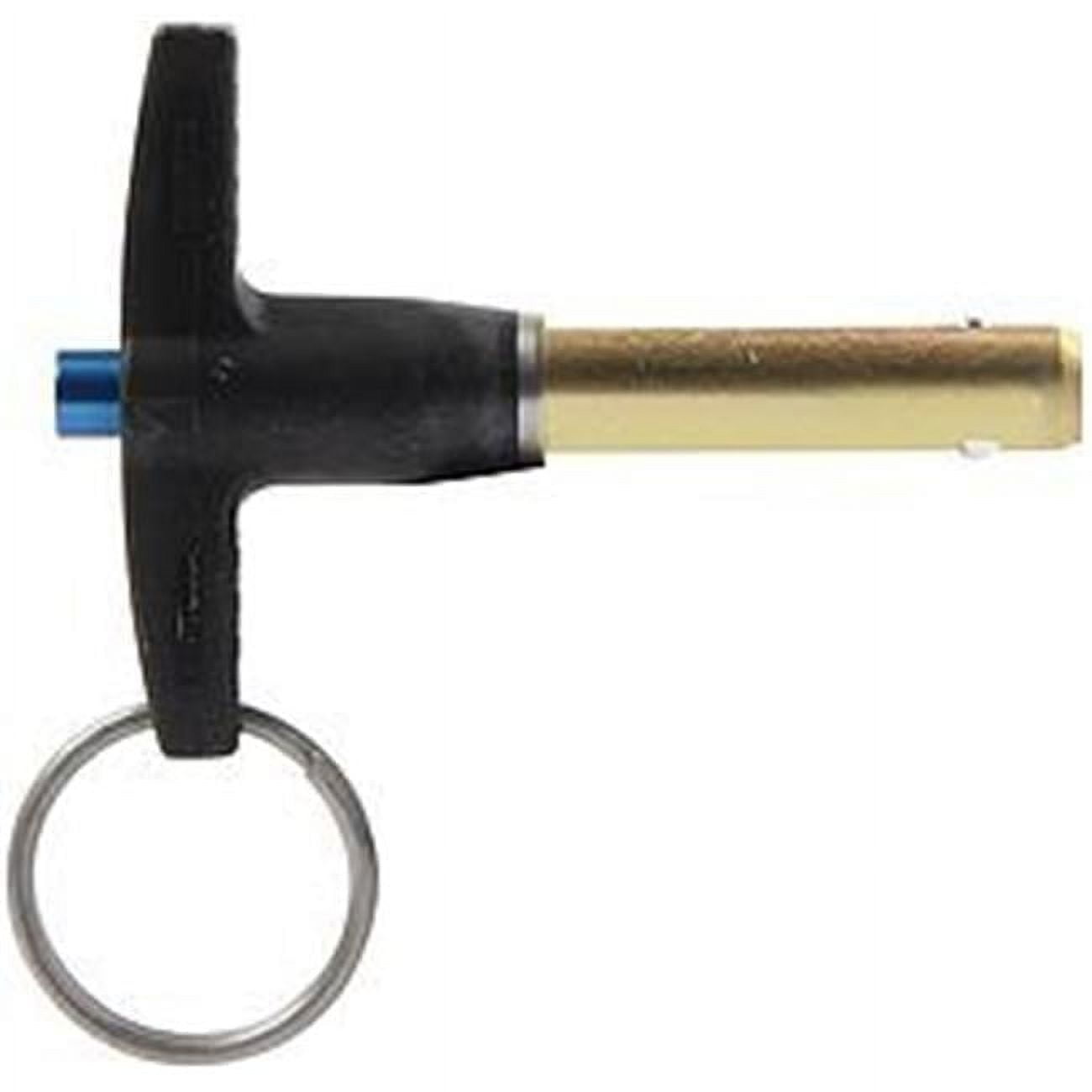 Allstar Performance ALL60304 0.31 x 1 in. Quick Release T-Handle Pins