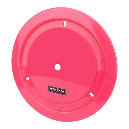 Allstar Performance Car 16.5" x 1.7" Exterior Automotive Accessories