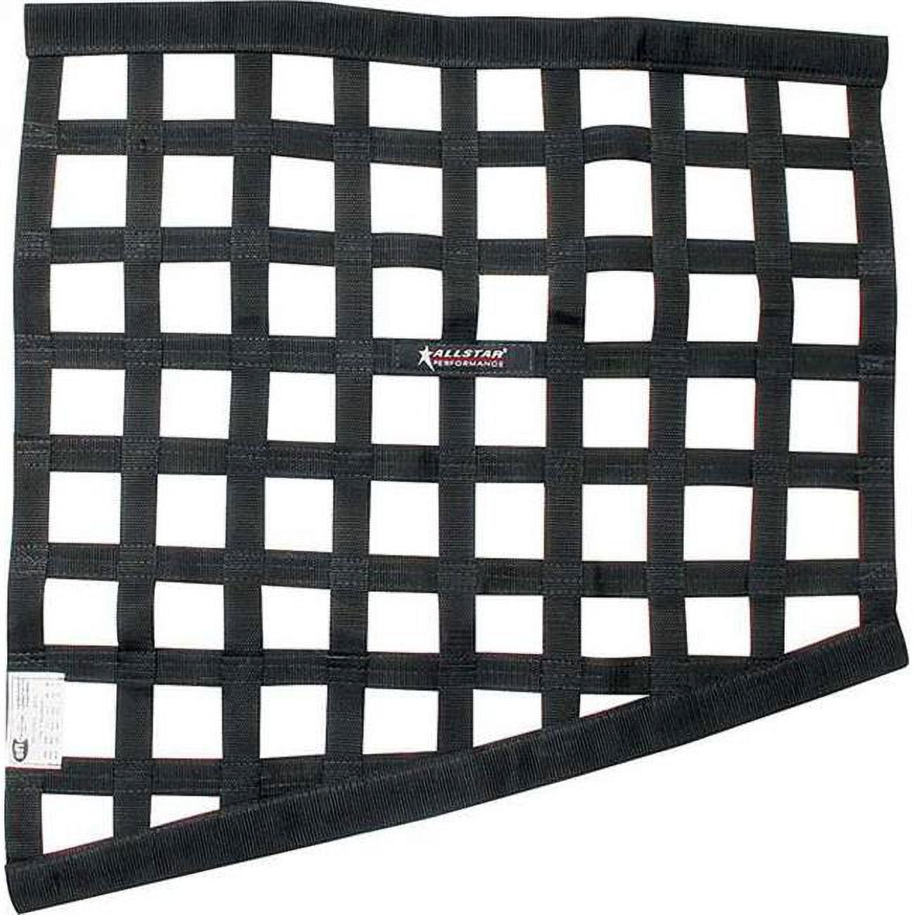 Allstar Performance ALL10289 Window Net - SFI 27.1 - 1 in Webbing - 18 ...