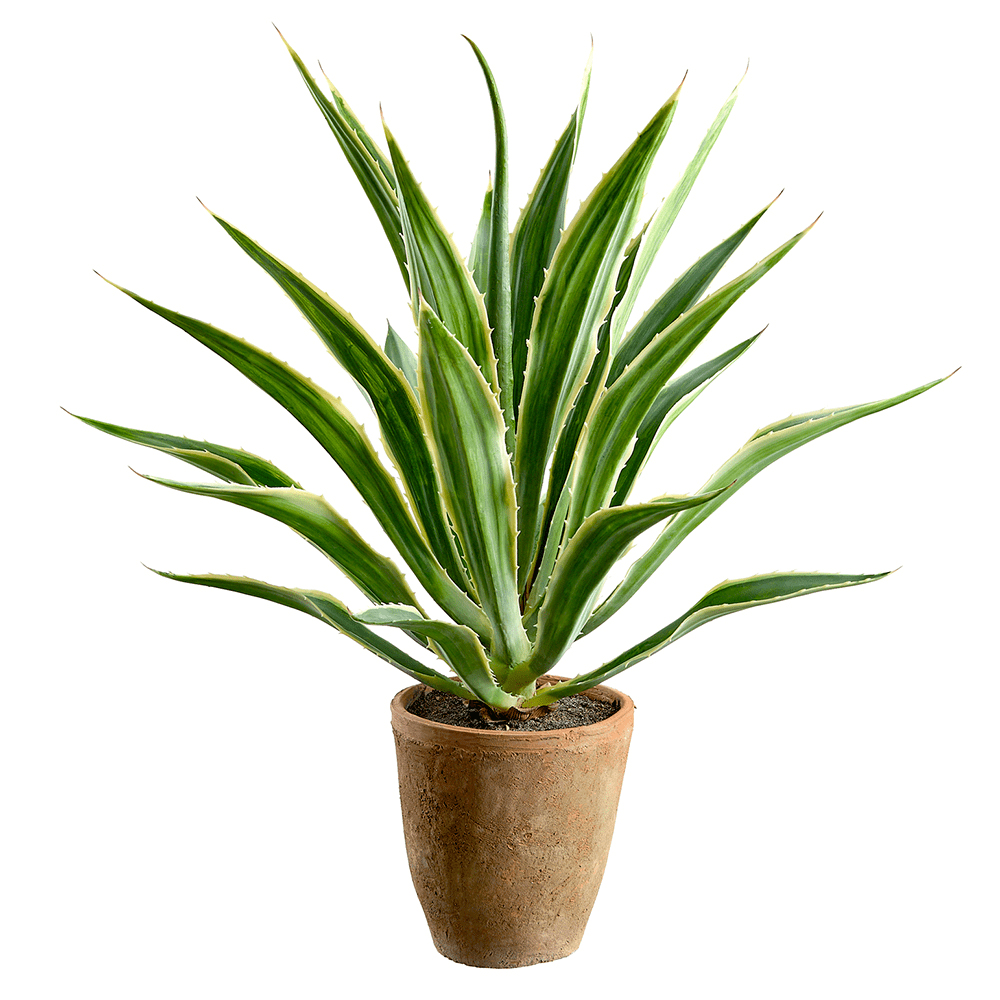 33" Green Artificial Agave Plant in Terra Cotta Clay Pot