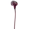 thumbnail image 1 of Club Pack of 24 Eggplant Purple Calla Lily Artificial Floral Craft Sprays 21", 1 of 2