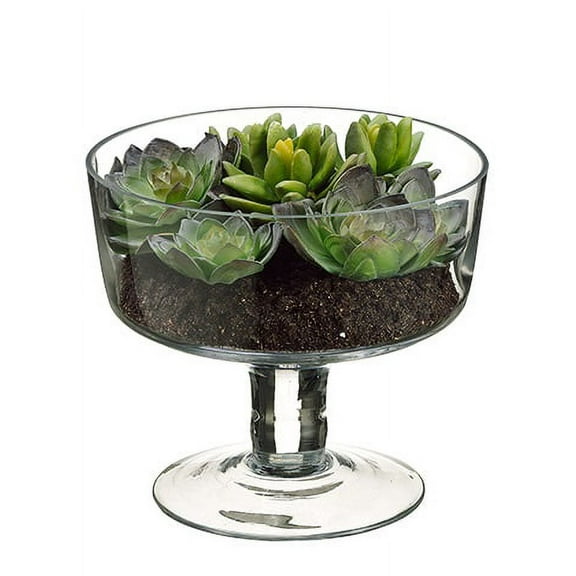 Allstate Floral 6.75" Succulent Garden Artificial Spring Plant in Glass Vase - Clear/Green