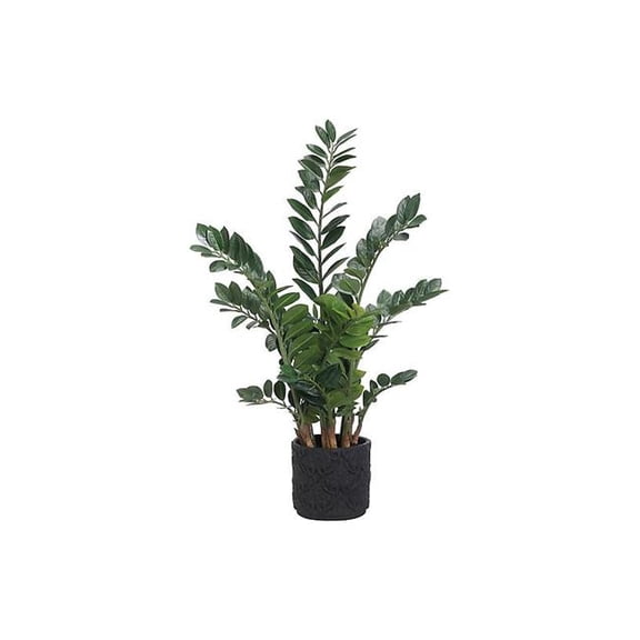 Allstate Floral & Craft WP8156-GR 48 x 27 x 24 in. Zamioculcas Plant in Cement Pot, Black & Green