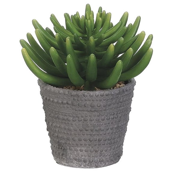 Allstate Floral & Craft  9 x 9 x 9 in. Aeonium in Cement Pot, Green