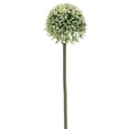 thumbnail image 1 of Allstate Floral & Craft FSA141-CR-GR 17.5 in. Allium Spray, Cream & Green - Pack of 24, 1 of 1