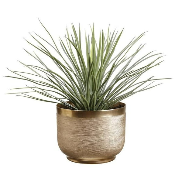 Allstate Floral & Craft WP0692-GR-GY 6 x 7.75 in. Artificial Whipple Yucca Plant with Textured Planter, Green & Gray