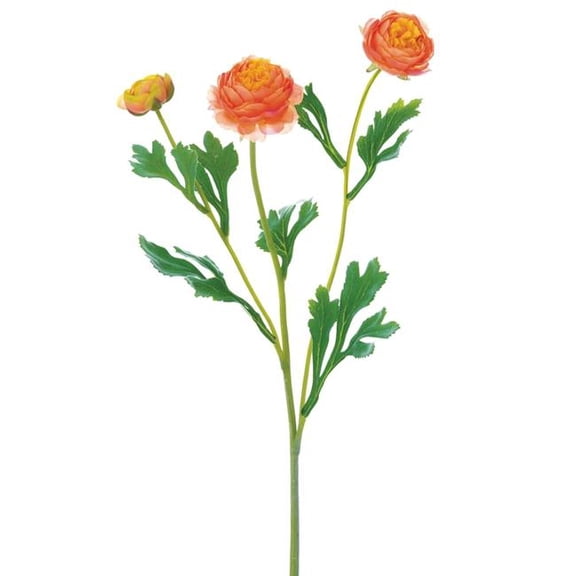 Allstate Floral FSR262-OR 20' Ranunculus Spray