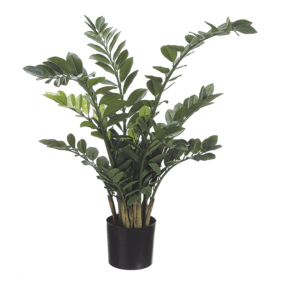 Allstate Potted Artificial African Zamioculcas Plants - 3.5' - Set of 2