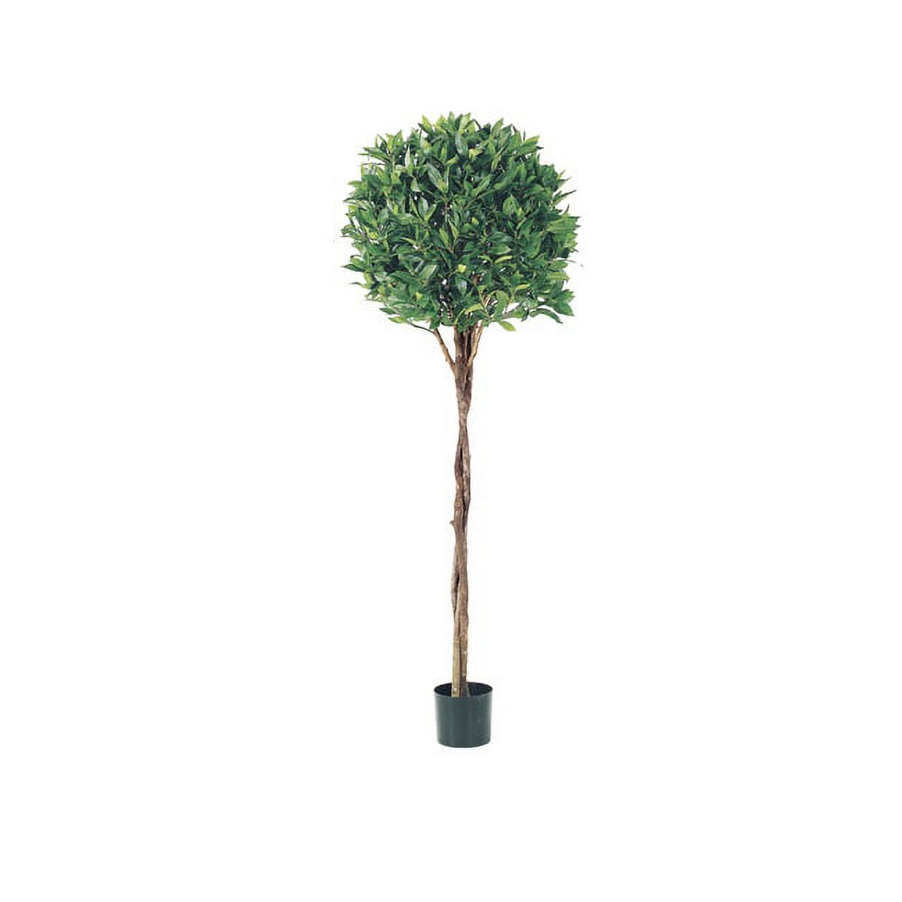 5' Green Artificial Bay Leaf Ball Topiary with Braided Trunk