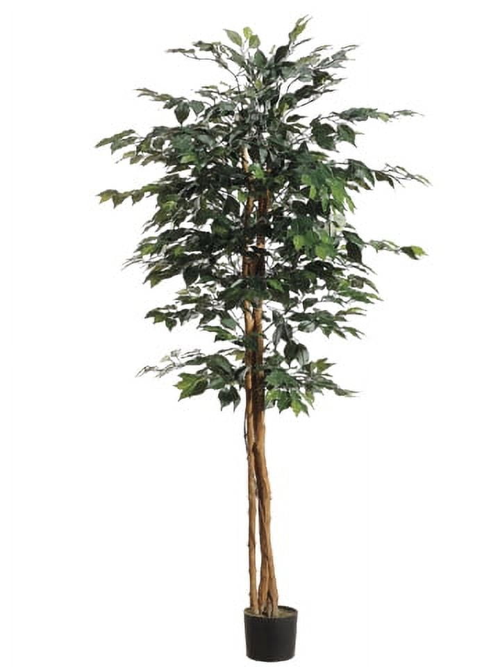 Tropical Silk Ficus Floor Plant Duo in Weighted Pots, 6'