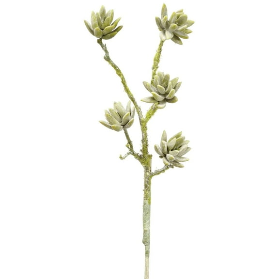 Allstate Soft Touch Sedum Artificial Floral Succulent Spray - 19" - Green and Gray