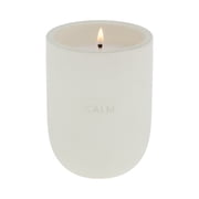 Allswell Calm Scented 1-Wick Ceramic Jar Spa Candle, Coconut + Citrus + Amber, 10 oz