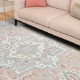 thumbnail image 1 of Allure Traditional 5' x 7' Pink and Gray Polypropylene Indoor Area Rug, 1 of 9