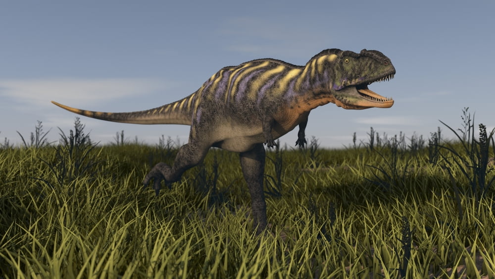 Alluring Aucasaurus in grassland Canvas Art - Kostyantyn IvanyshenStocktrek Images (19 x 11)