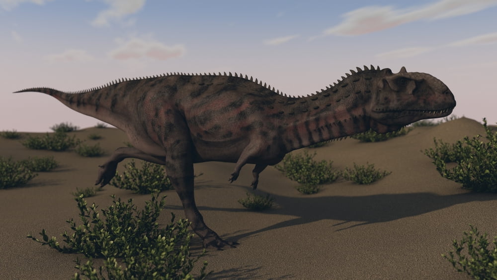 Alluring Majungasaurus in swamp grassland Canvas Art - Kostyantyn IvanyshenStocktrek Images (19 x 11)