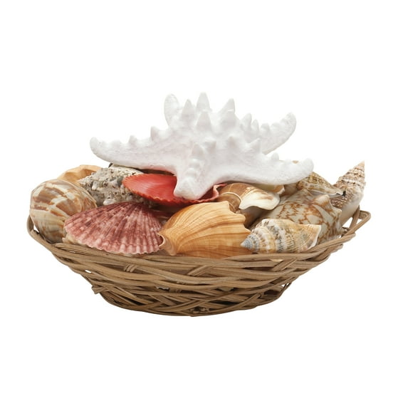 Alluring Sea Shell Bowl