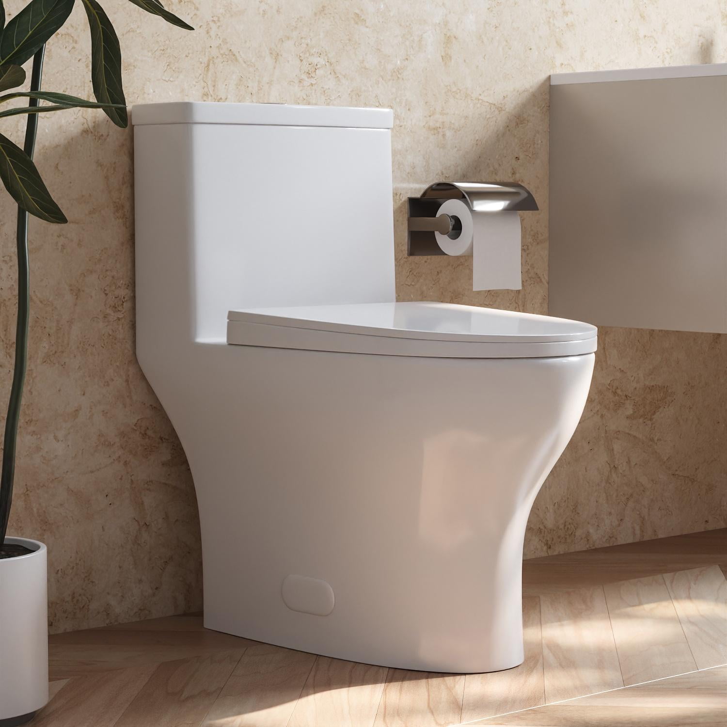 Ally White Ceramic Dual-Flush Elongated One-Piece Toilet