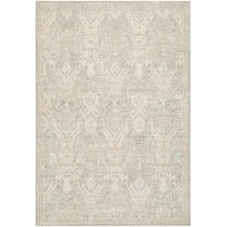 Boutique Rugs Almaas Traditional Area Rug - Medium Gray, Sandstone, Ivory - 10' x 13'11"