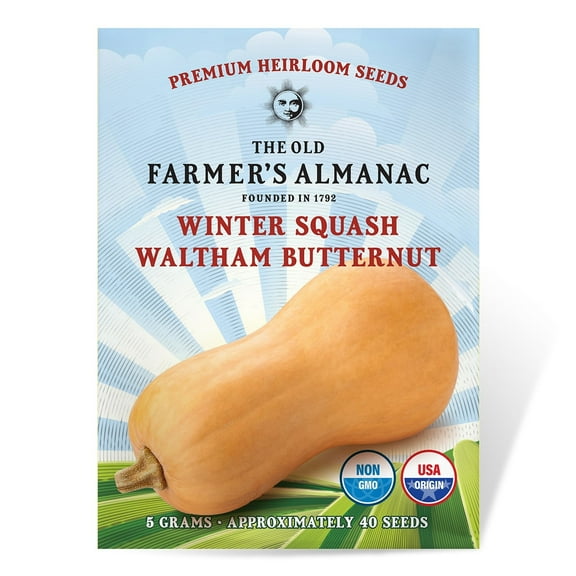 Almanac The Old Farmer's 50 Winter Squash Waltham Butternut Plant Seeds, Non-GMO