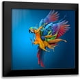 thumbnail image 1 of Almawash, Sulaiman 12x12 Black Modern Framed Museum Art Print Titled - Flying Colours, 1 of 5