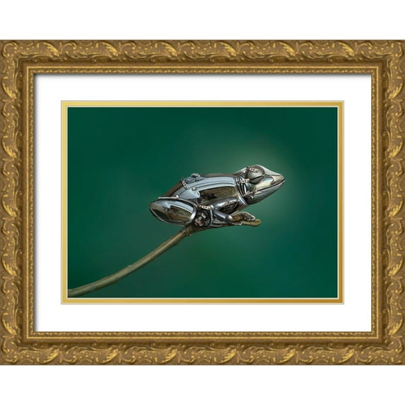 Almawash, Sulaiman 14x11 Gold Ornate Wood Framed with Double Matting Museum Art Print Titled - Frog