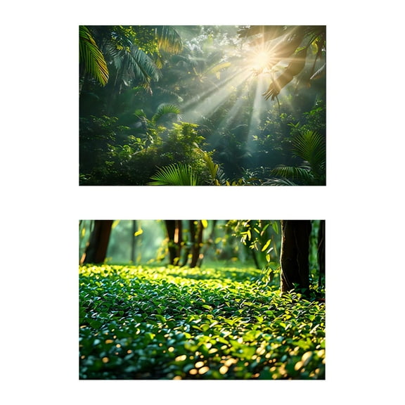 Almencla Photo Background Photography Backdrop for Books Magazines Commercial Flowers B