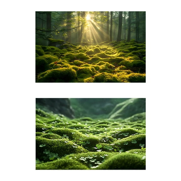 Almencla Photo Background Photography Backdrop for Books Magazines Commercial Flowers C