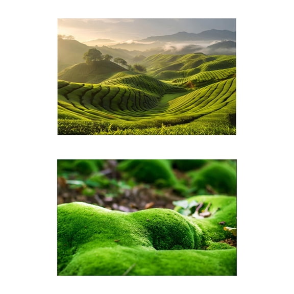 Almencla Photo Background Photography Backdrop for Books Magazines Commercial Flowers D