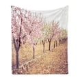 thumbnail image 1 of Almond Blossom Soft Flannel Fleece Blanket, Spring Blossom Orchard with Blurred Background Pastel Colored Idyllic Design, Cozy Plush for Indoor and Outdoor Use, 50" x 60", Multicolor, by Ambesonne, 1 of 6