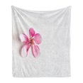thumbnail image 1 of Almond Blossom Soft Flannel Fleece Throw Blanket, Close up Flower Petals Japanese Foliage Idyllic Love Themed Spring Nature, Cozy Plush for Indoor and Outdoor Use, 60" x 80", Pink White, by Ambesonne, 1 of 6