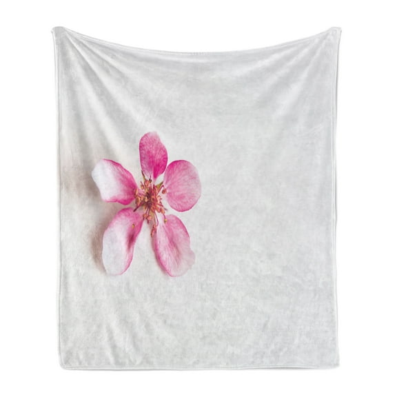 Almond Blossom Soft Flannel Fleece Throw Blanket, Close up Flower Petals Japanese Foliage Idyllic Love Themed Spring Nature, Cozy Plush for Indoor and Outdoor Use, 70" x 90", Pink White, by Ambesonne