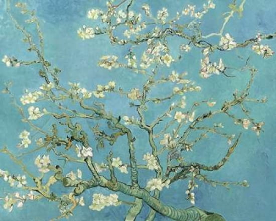 Almond Blossoms 1890 Canvas Art - Vincent Van Gogh (24 x 30)