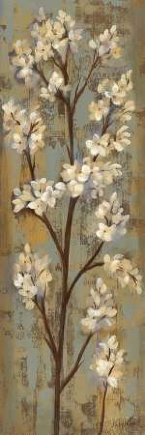 Almond Branch I Canvas Art - Silvia Vassileva (12 x 36)