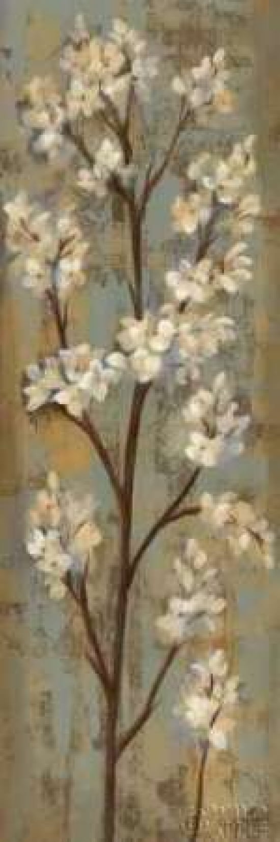 Almond Branch I Canvas Art - Silvia Vassileva (12 x 36)