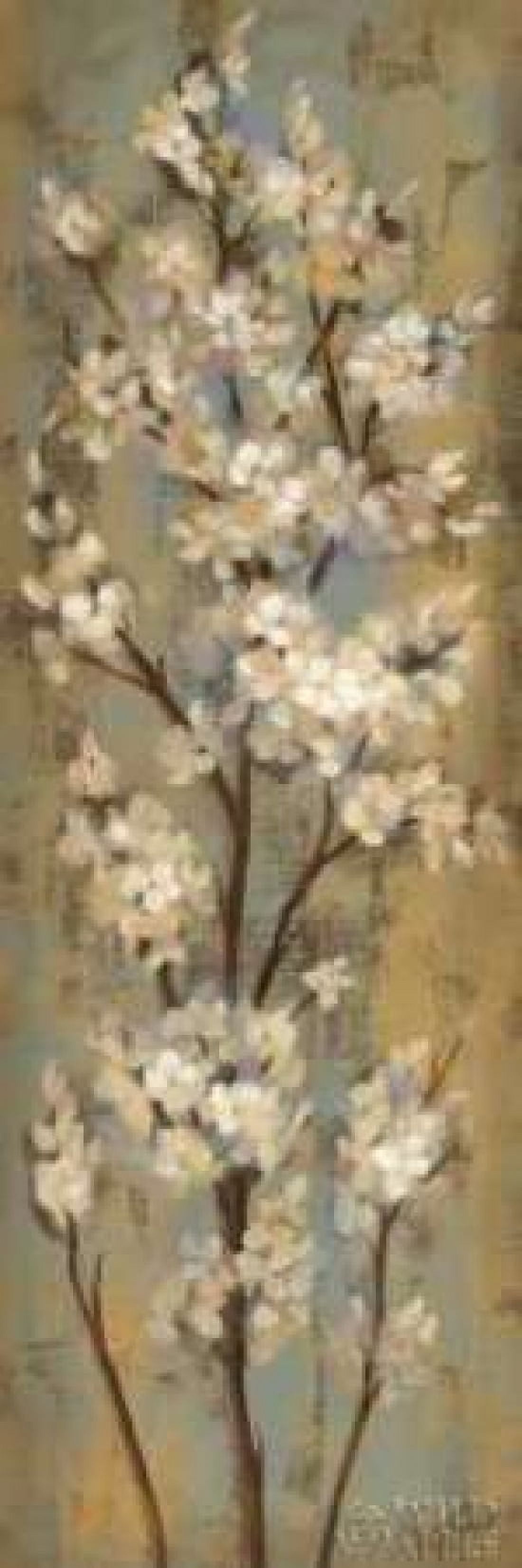 Almond Branch II Canvas Art - Silvia Vassileva (12 x 36)