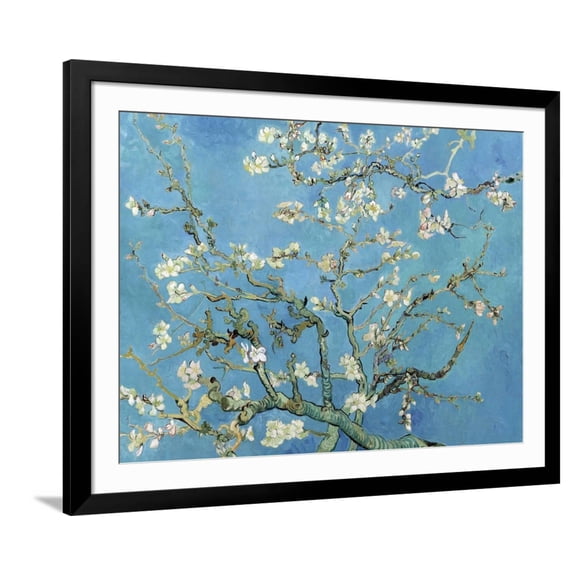 Almond Branches in Bloom, San Remy, c.1890 Framed Premium Giclee Print by Vincent van Gogh, 40" x 30", Sold by Art.com
