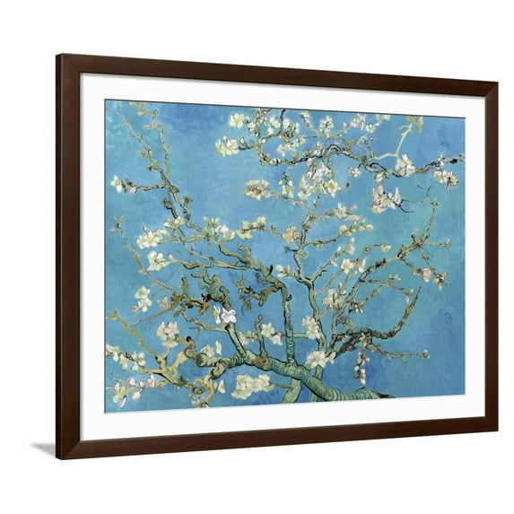 Almond Branches in Bloom, San Remy, c.1890 Framed Premium Giclee Print by Vincent van Gogh, 40" x 30", Sold by Art.com
