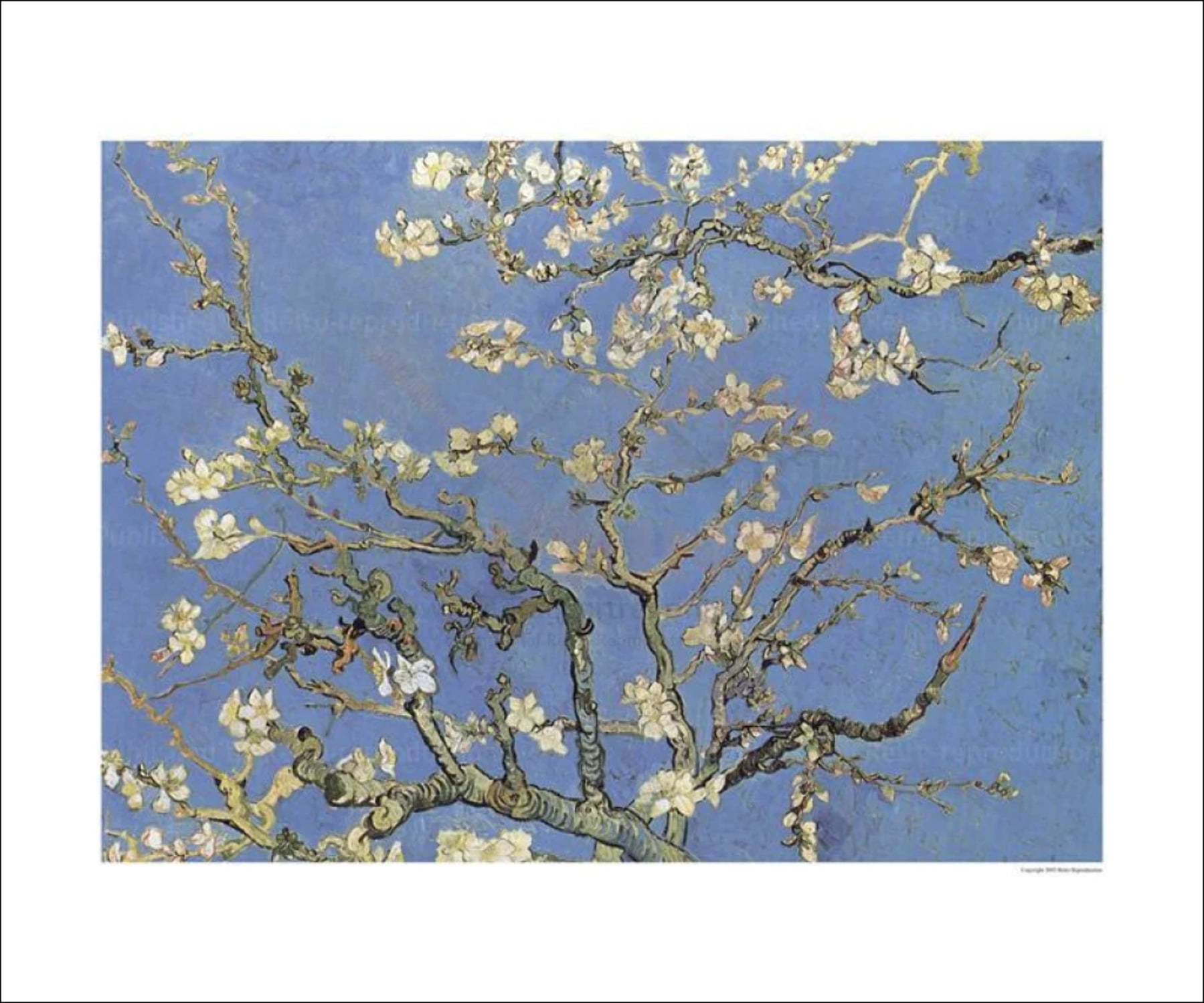 Almond tree, Vincent Van Gogh
