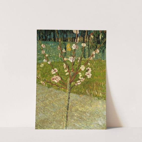 Almond tree in blossom - Vincent Van Gogh Artwork - livingroom bedroom office dining room - 8.5x11 - High Quality Wall Art Poster Print Decor - UNFRAMED
