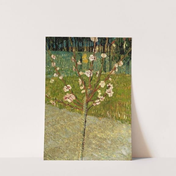 Almond tree in blossom - Vincent Van Gogh Artwork - livingroom bedroom office dining room - 8x12 - High Quality Wall Art Poster Print Decor - UNFRAMED