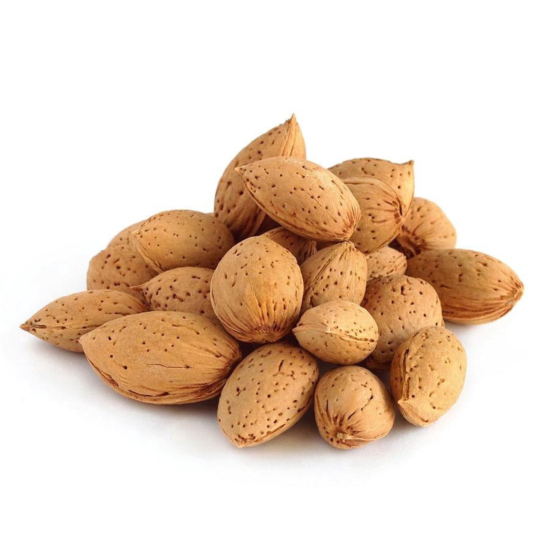 NY SPICE SHOP Almonds In Shell Whole - 3 Pound - Whole Almonds in Shell - Raw Almonds in Shell - Uncracked Almonds - Natural Raw Almonds with Hard Shell for Snacking, Roasting & Traditional Use